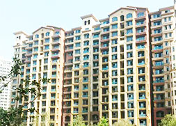 【新鄭】港區(qū)用真石漆哪里去？超前涂料您的首選品牌